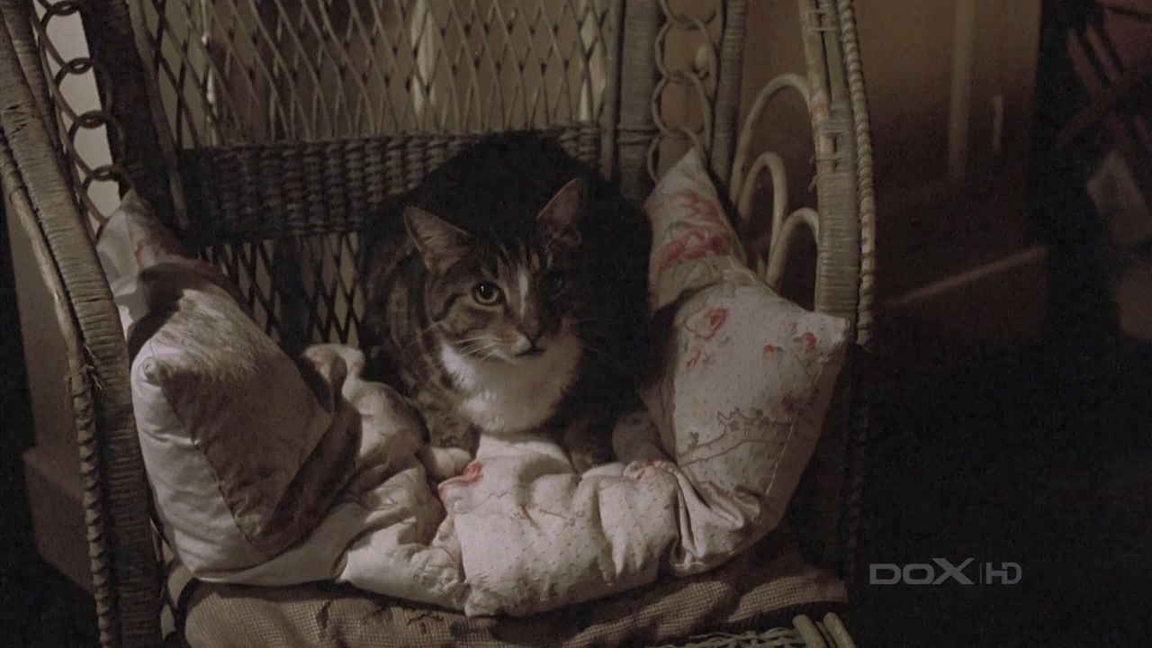 查令十字街84号剧照的剧照