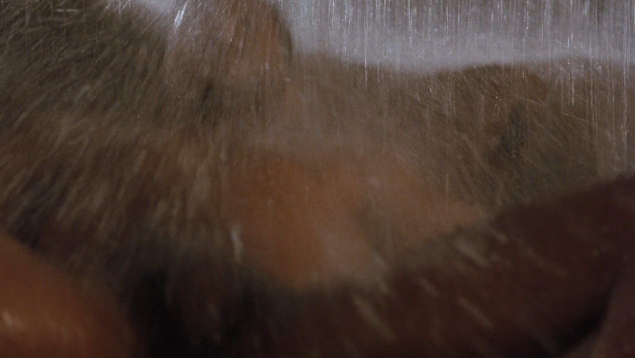 飙风战警剧照的剧照