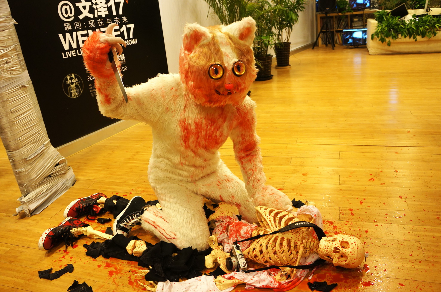 房间里的舞蹈剧照的剧照