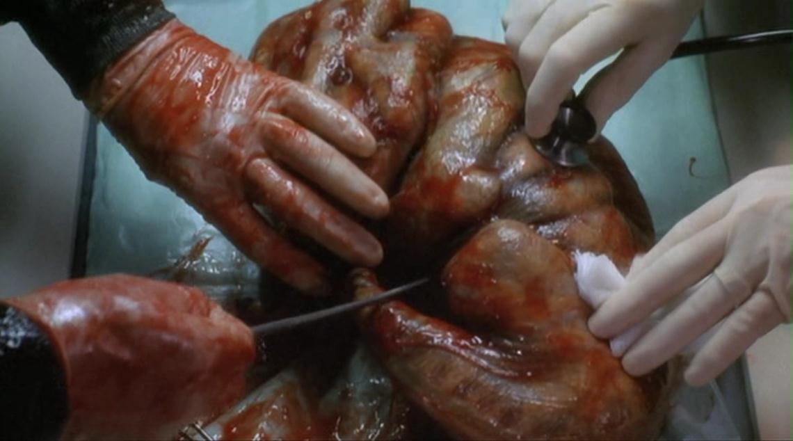 变蝇人2剧照的剧照