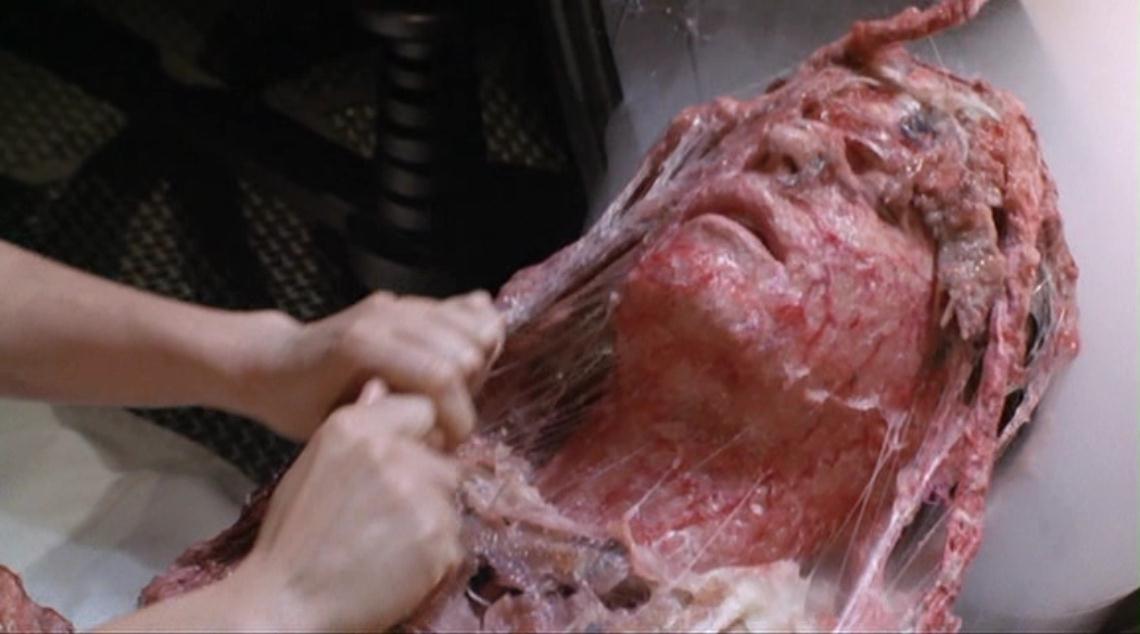 变蝇人2剧照的剧照