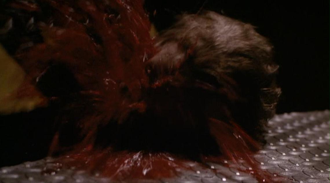 变蝇人2剧照的剧照