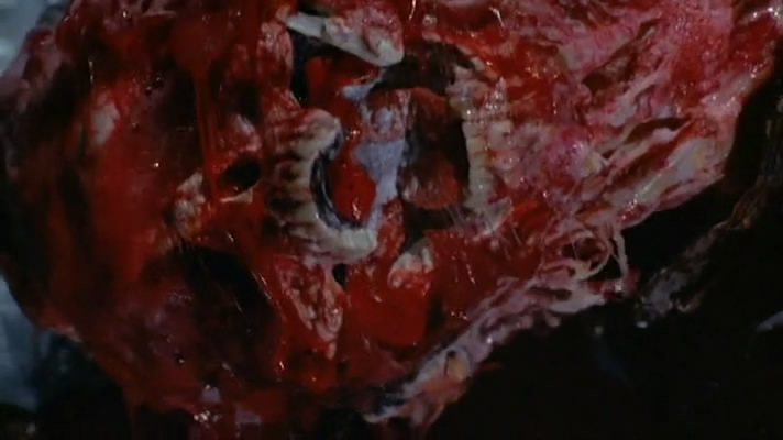 变蝇人2剧照的剧照