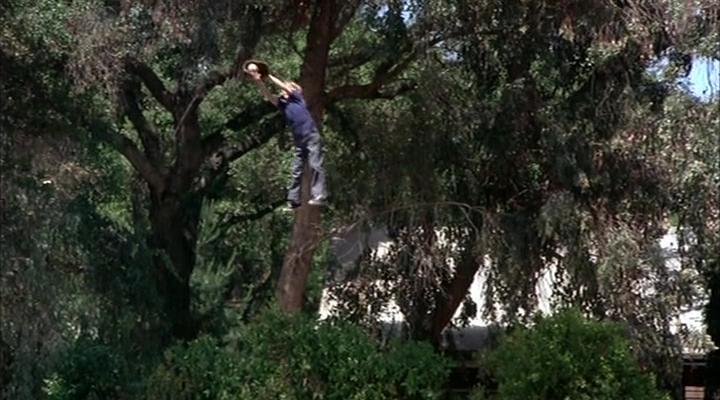 魔鬼山历险记剧照的剧照