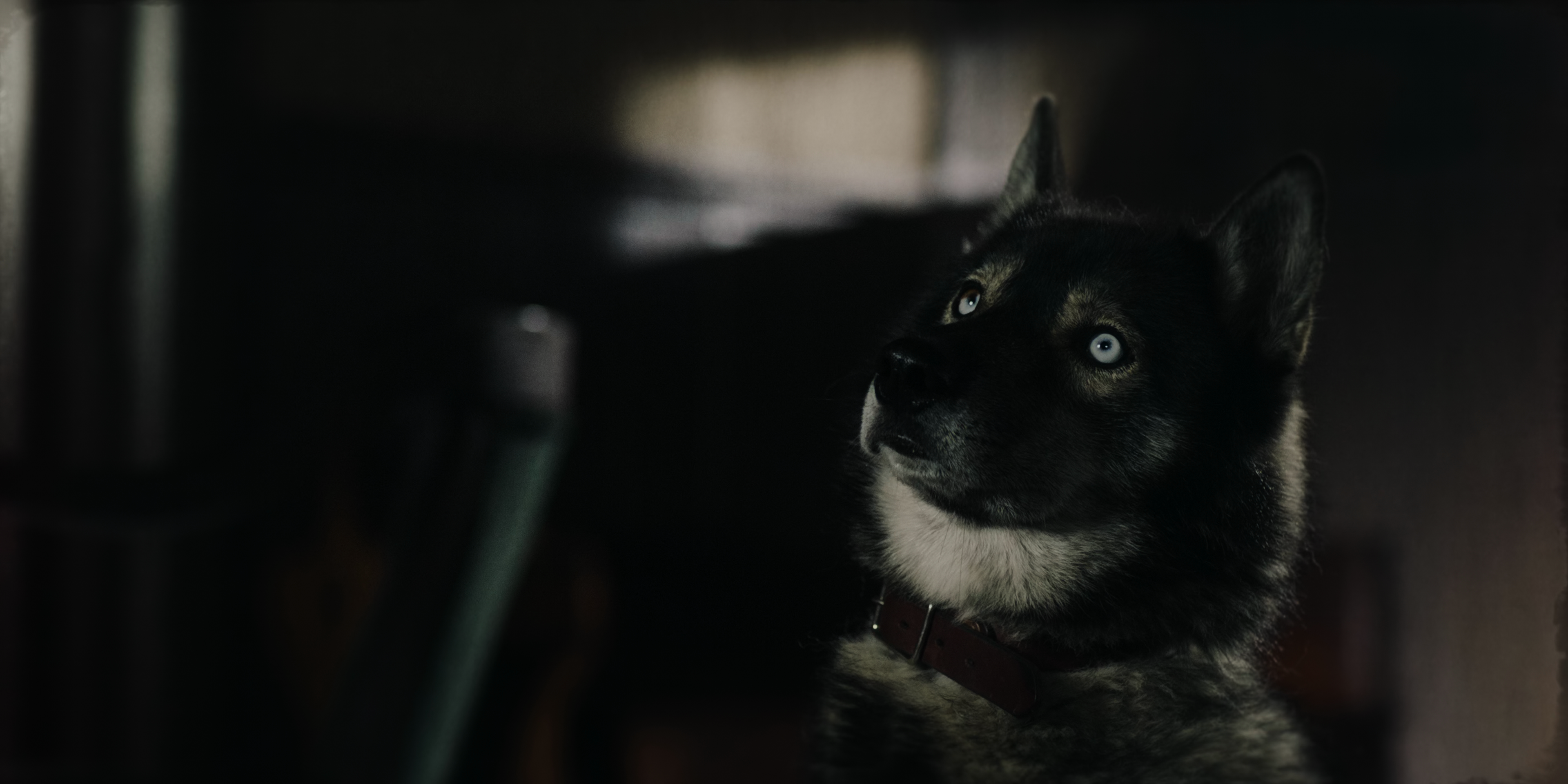 多哥剧照的剧照