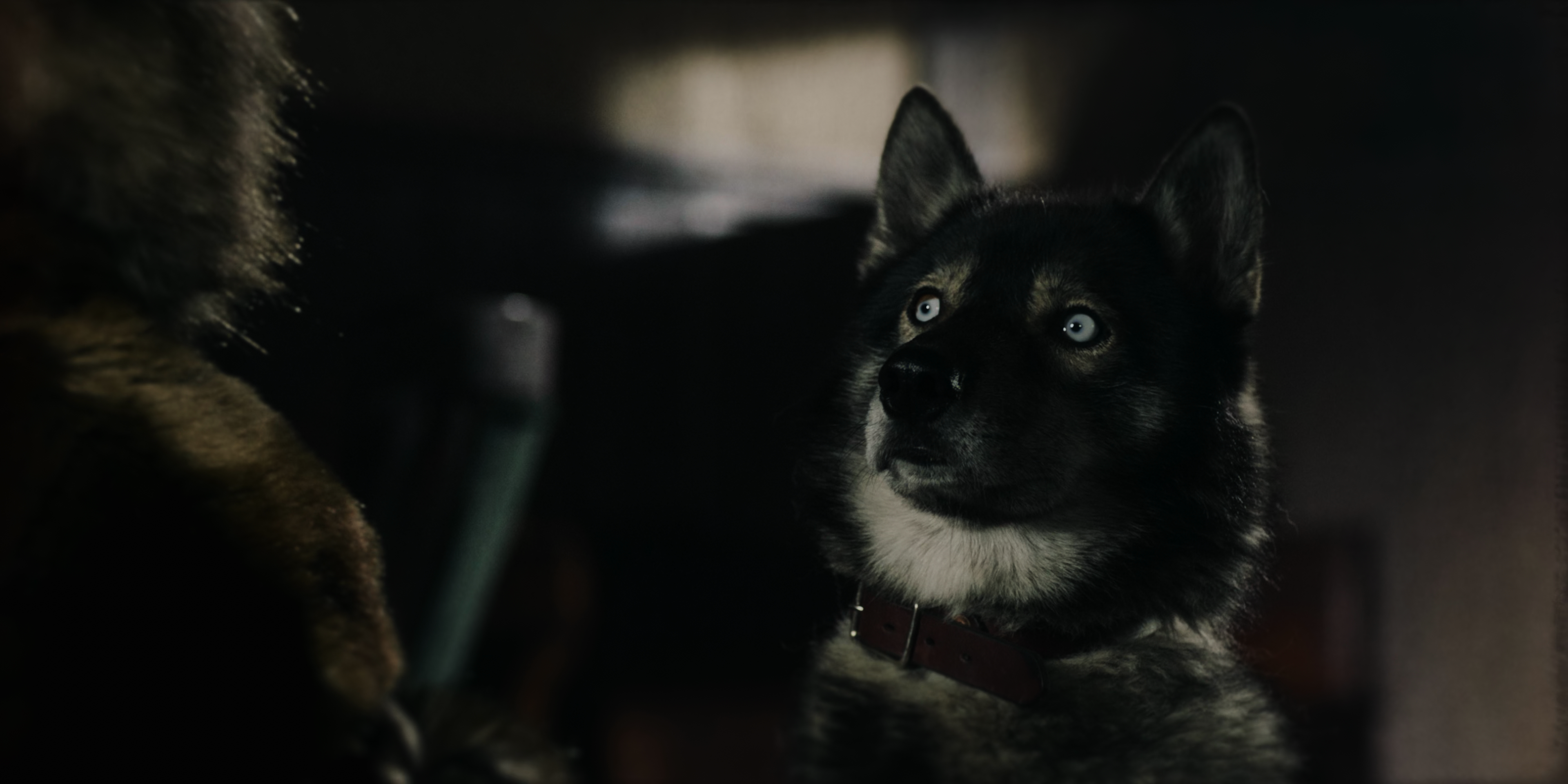 多哥剧照的剧照