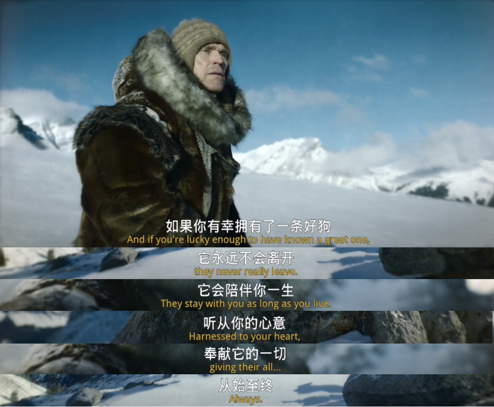 多哥剧照的剧照