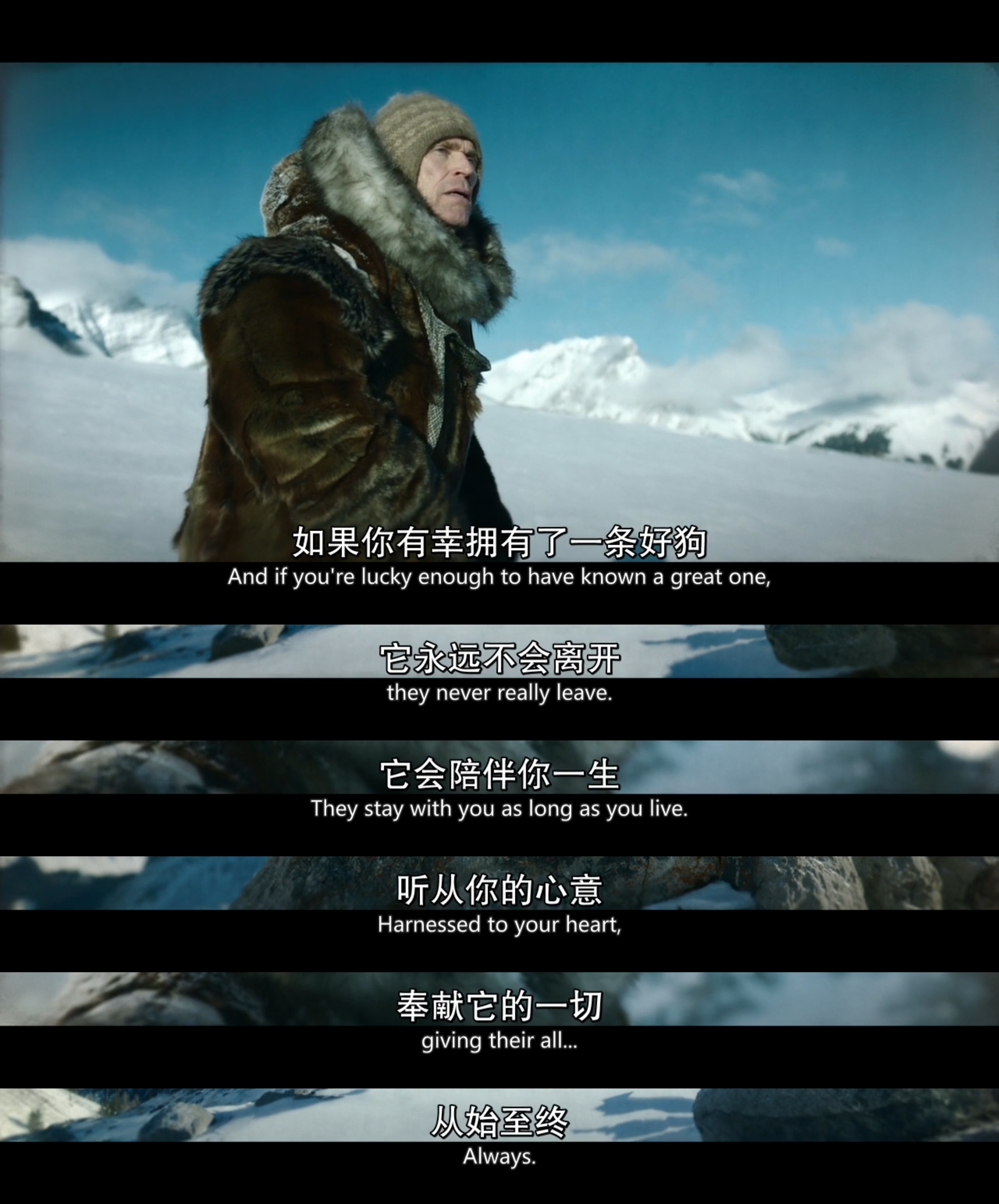 多哥剧照的剧照