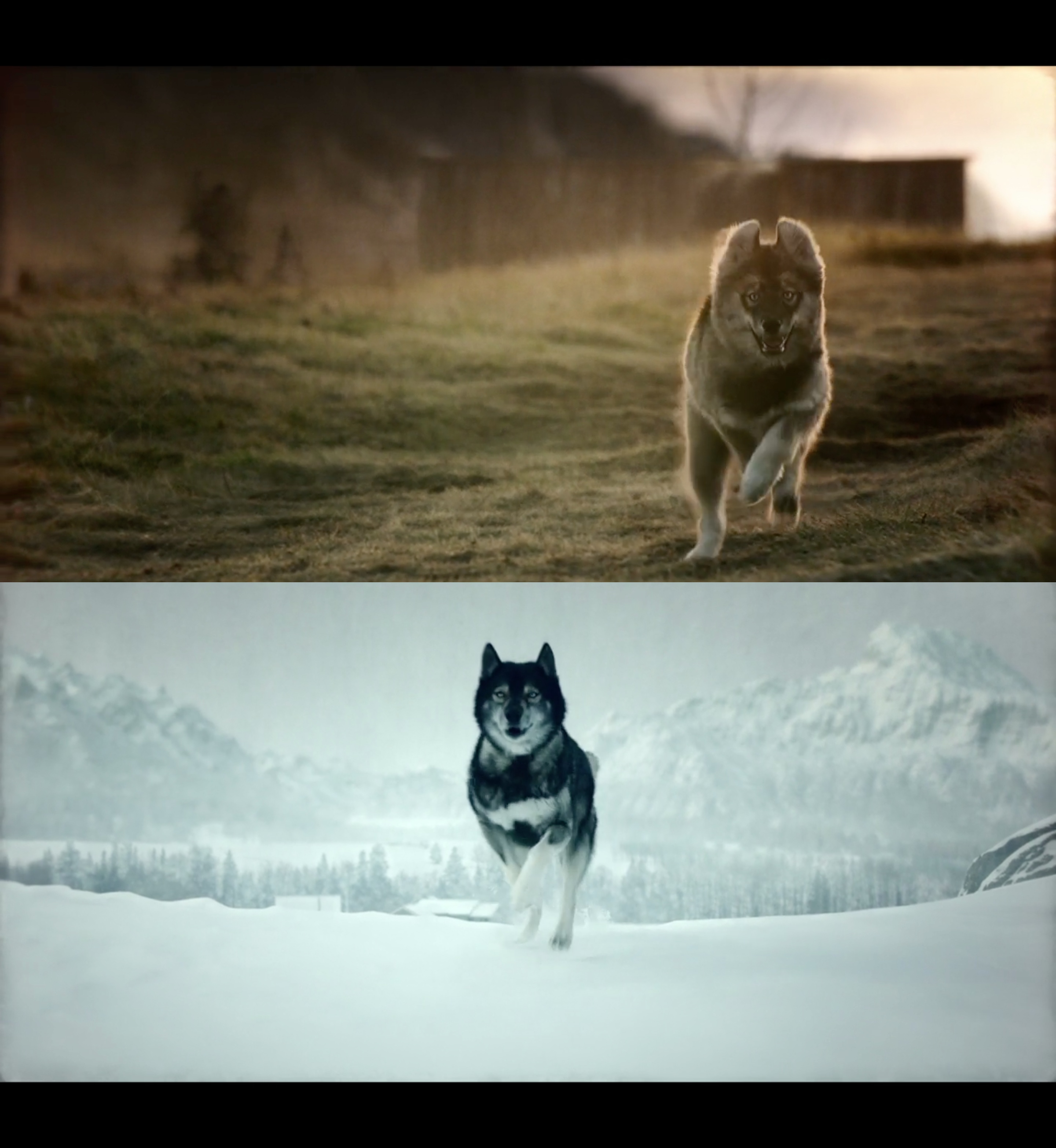 多哥剧照的剧照