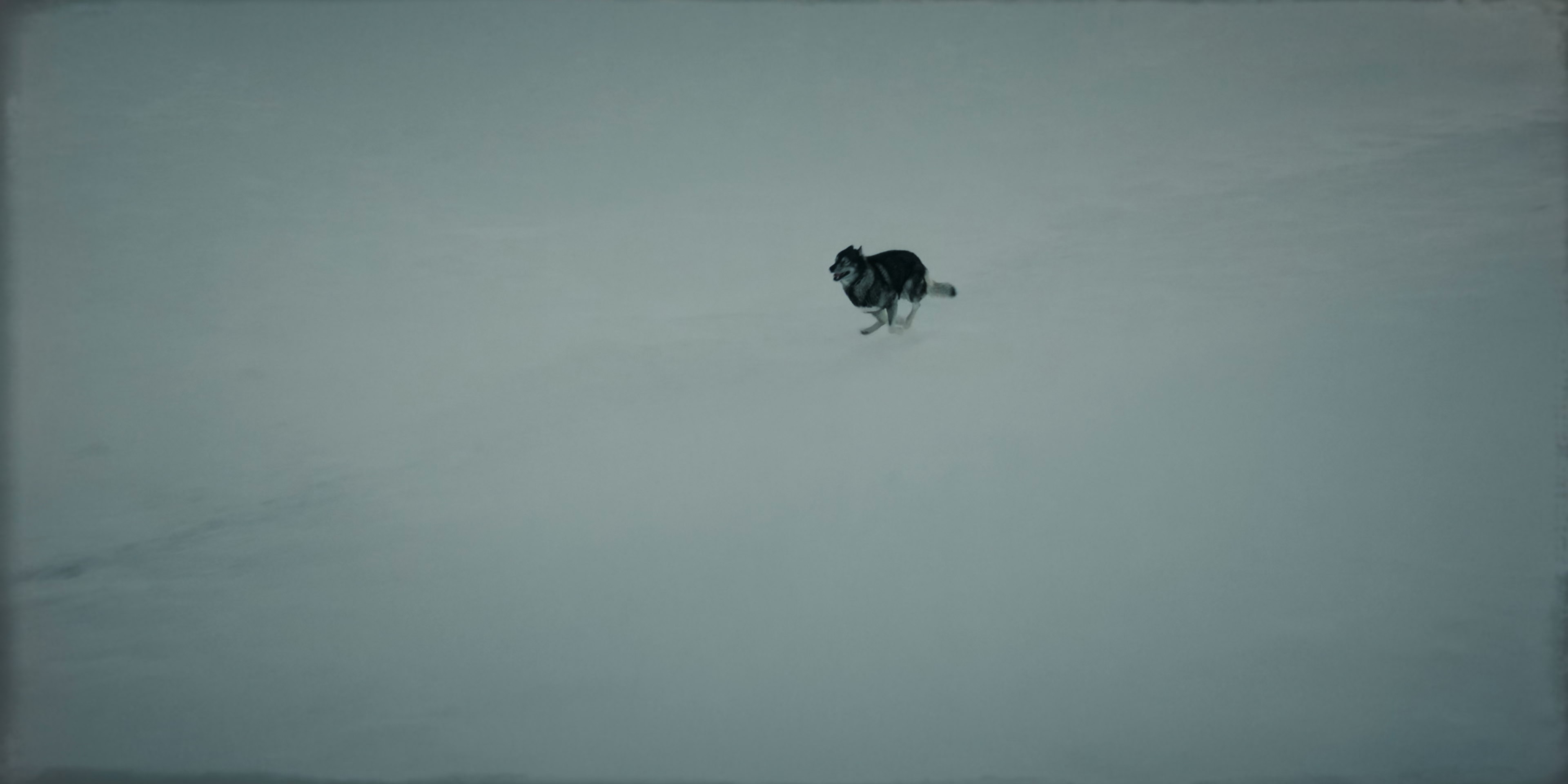 多哥剧照的剧照