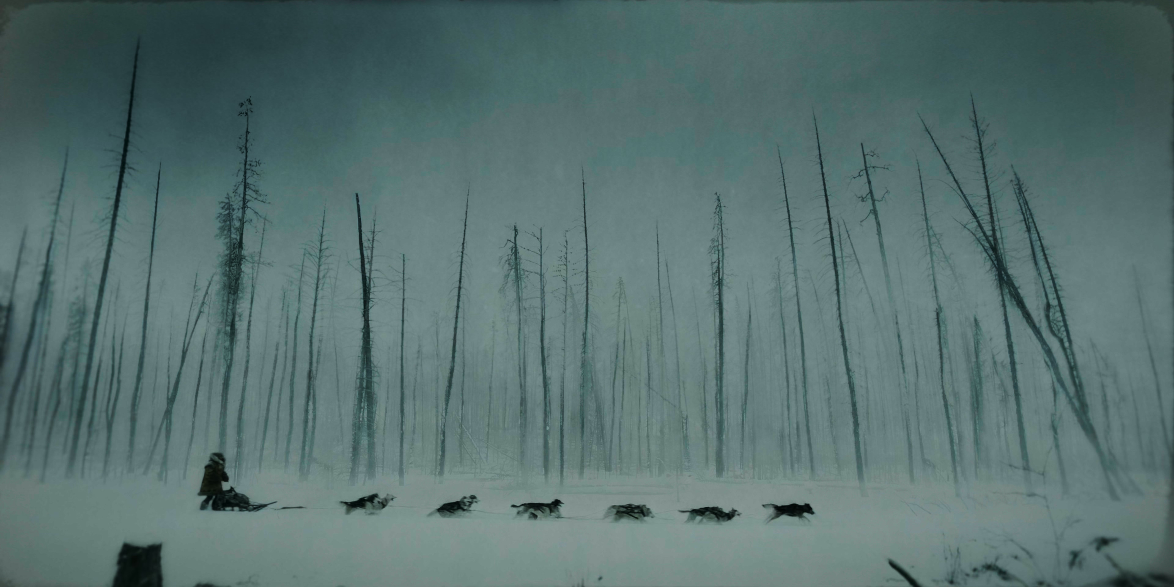 多哥剧照的剧照