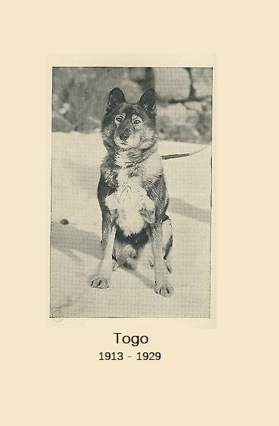 多哥剧照的剧照