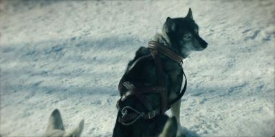 多哥剧照的剧照