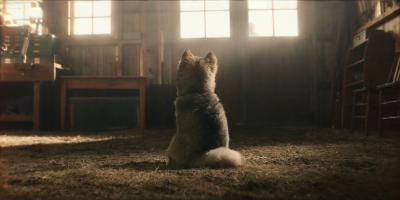 多哥剧照的剧照