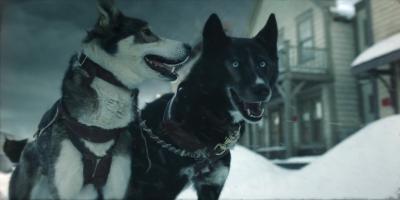 多哥剧照的剧照