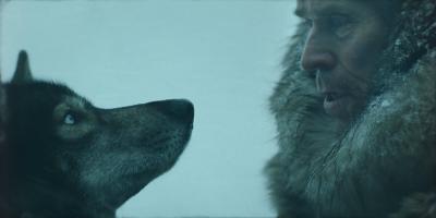 多哥剧照的剧照