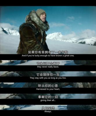 多哥剧照的剧照