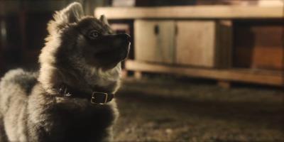 多哥剧照的剧照