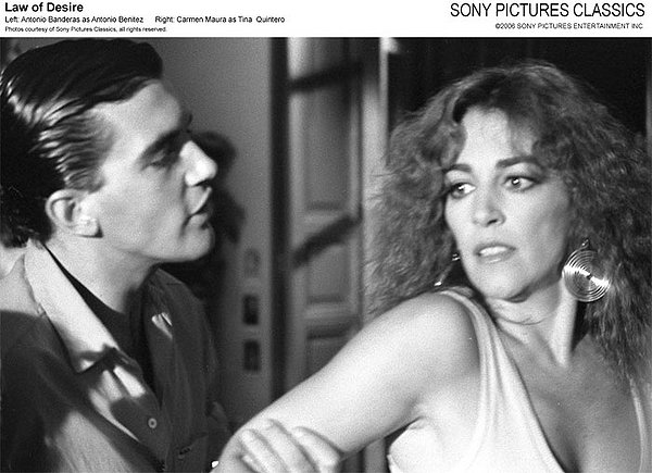 欲望法则剧照的剧照