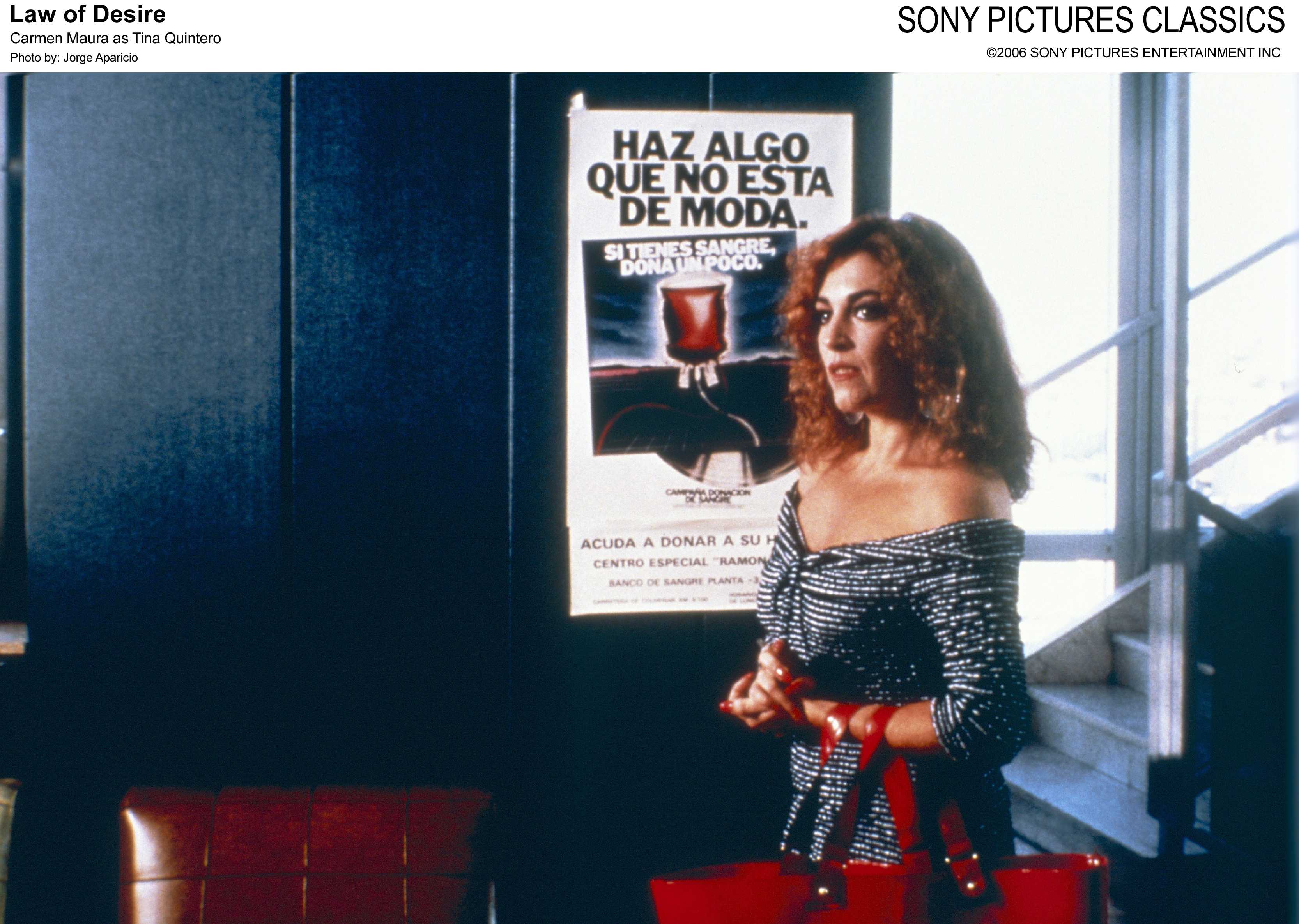 欲望法则剧照的剧照