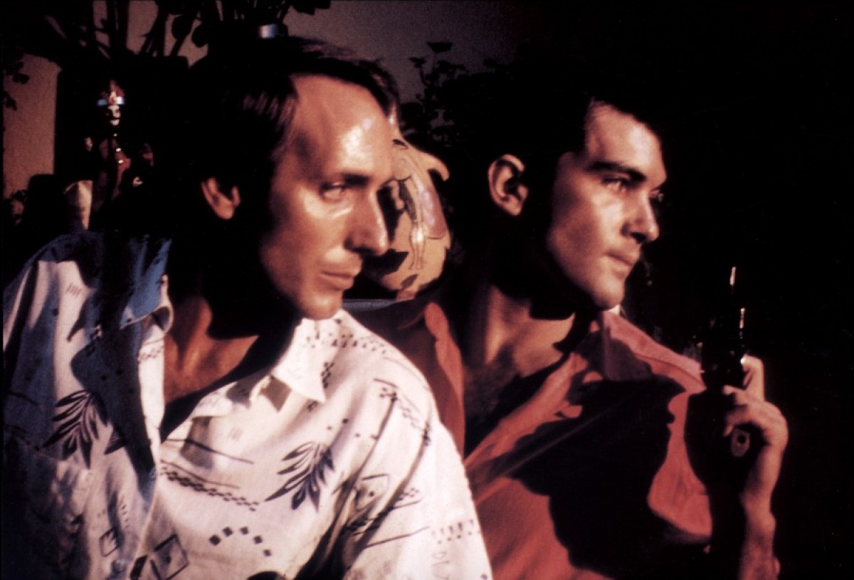 欲望法则剧照的剧照