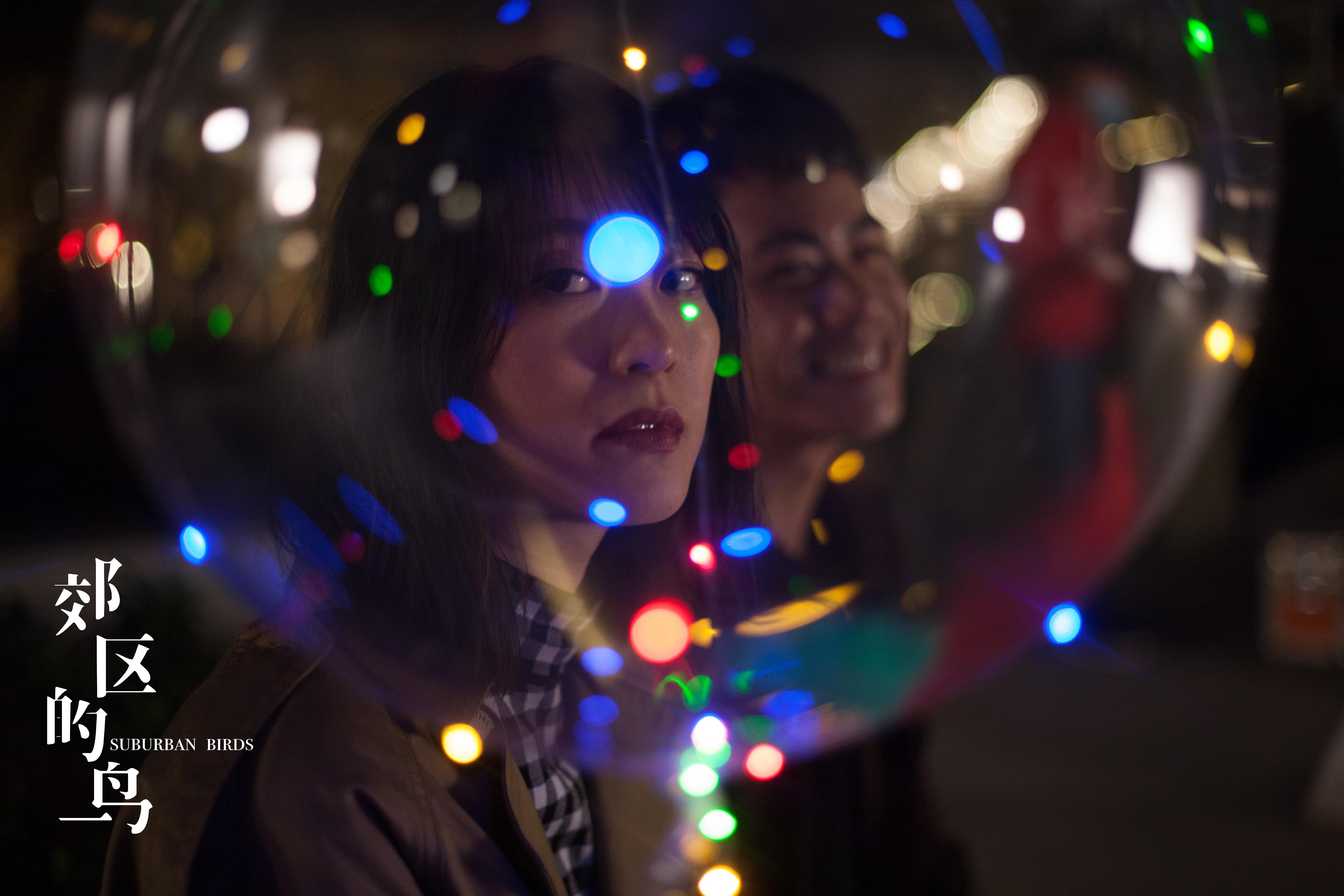 郊区的鸟剧照的剧照