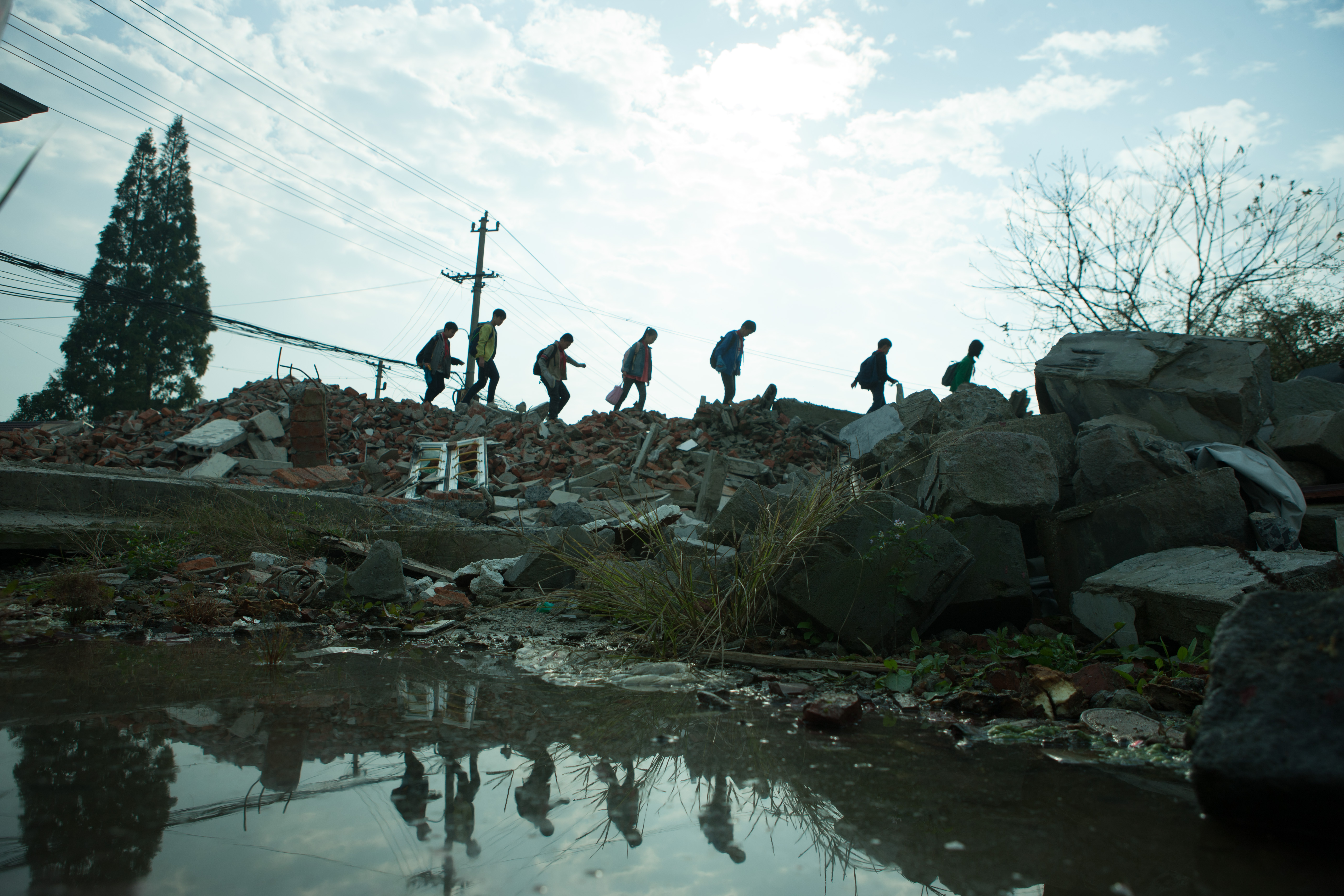 郊区的鸟剧照的剧照