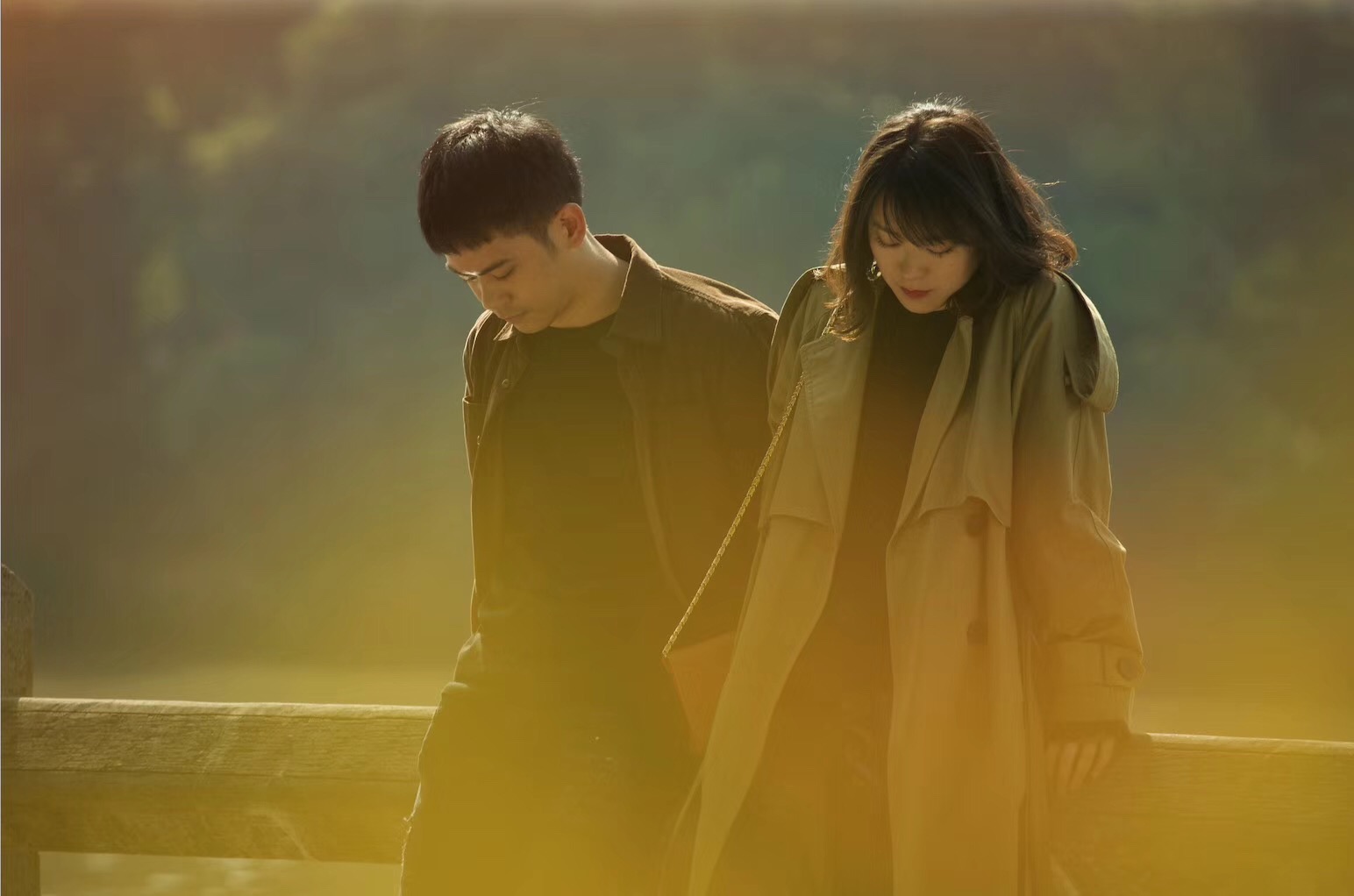 郊区的鸟剧照的剧照