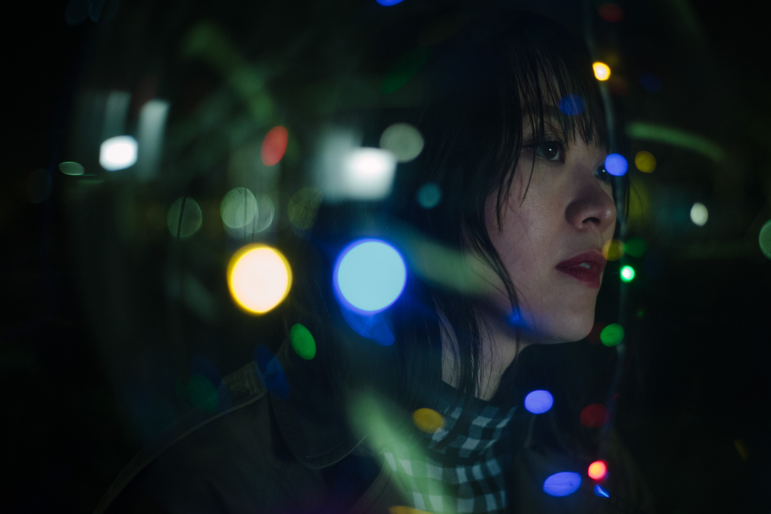 郊区的鸟剧照的剧照