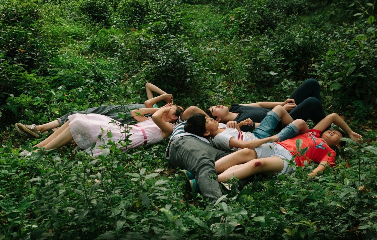 郊区的鸟剧照的剧照