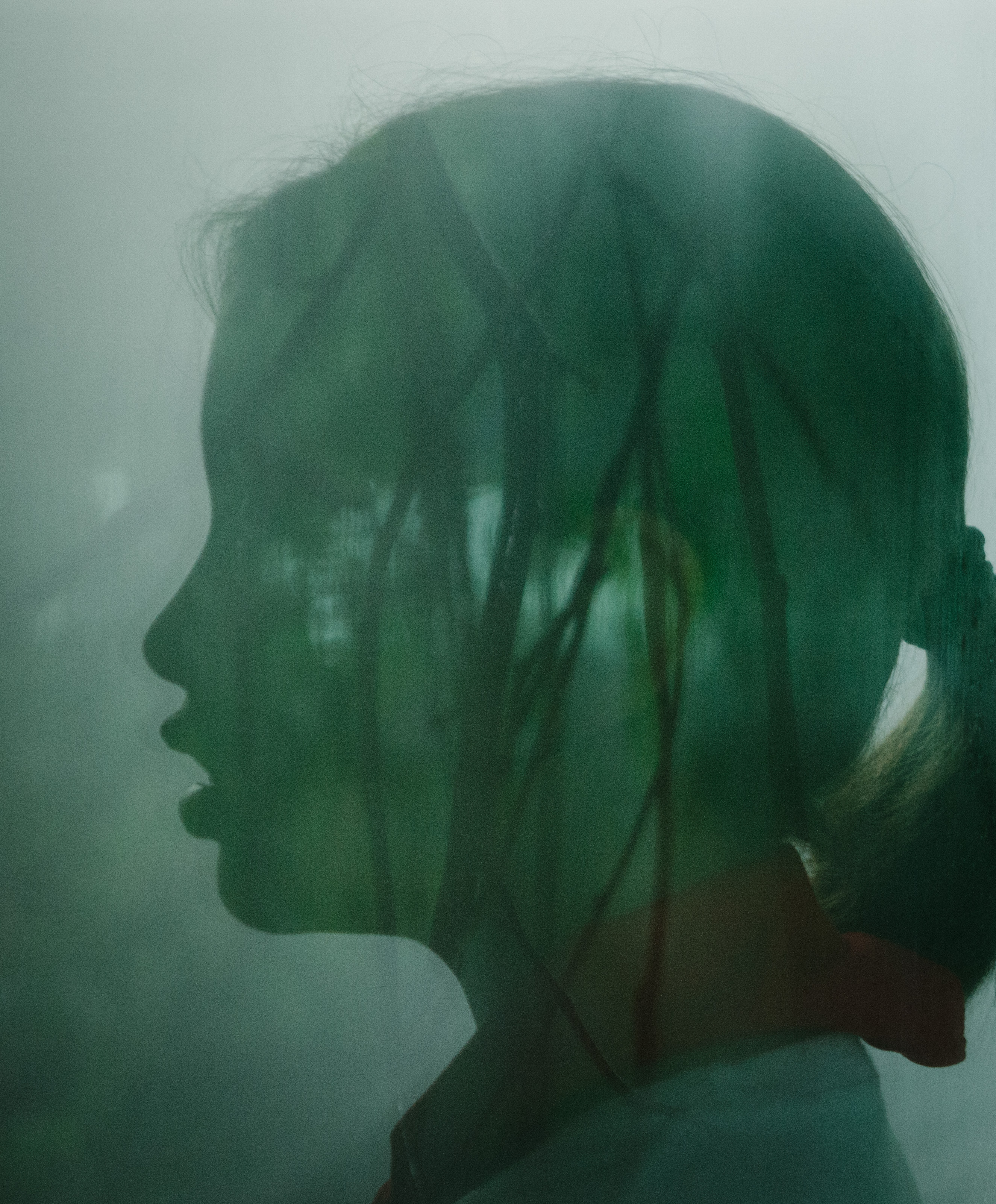 郊区的鸟剧照的剧照