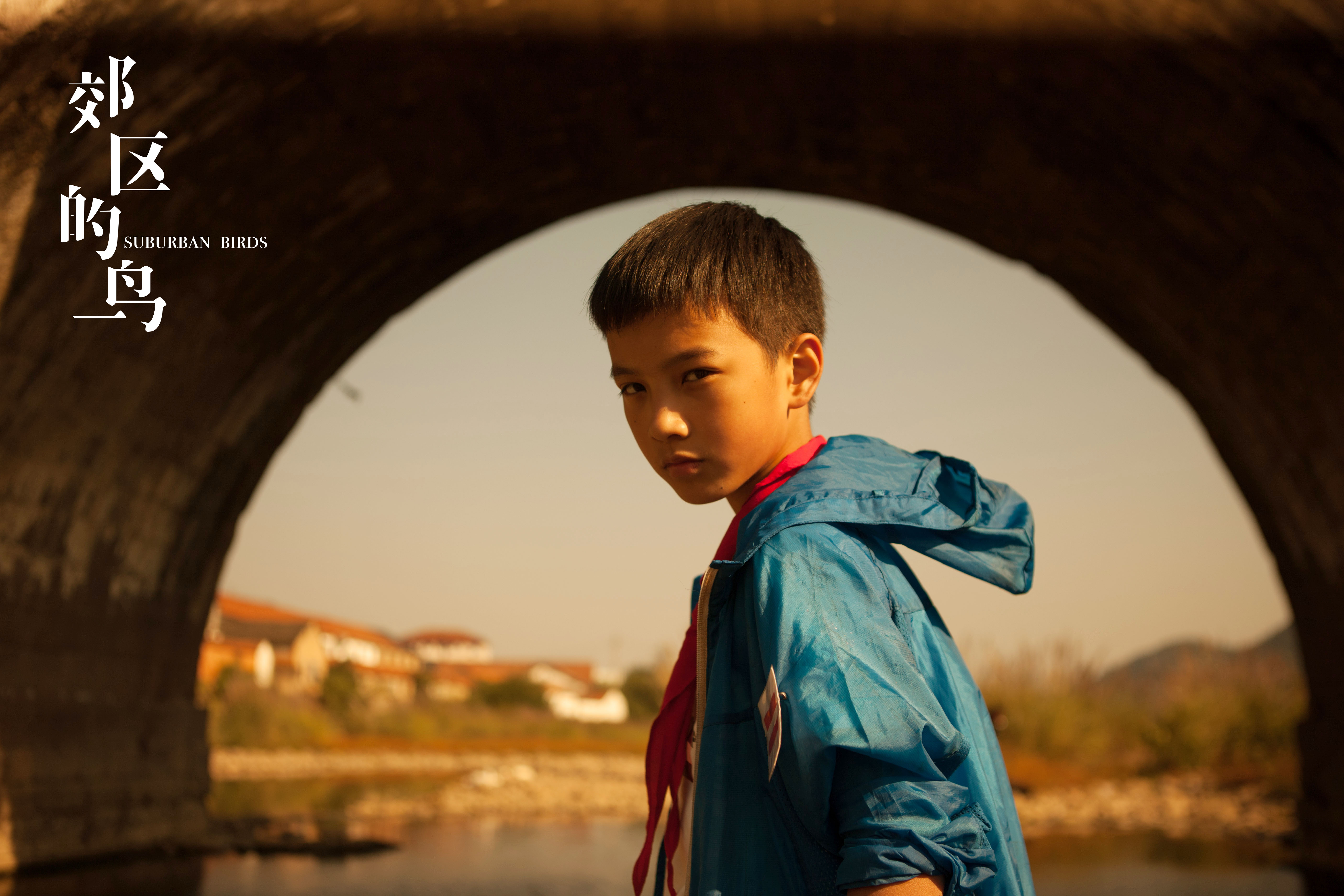 郊区的鸟剧照的剧照