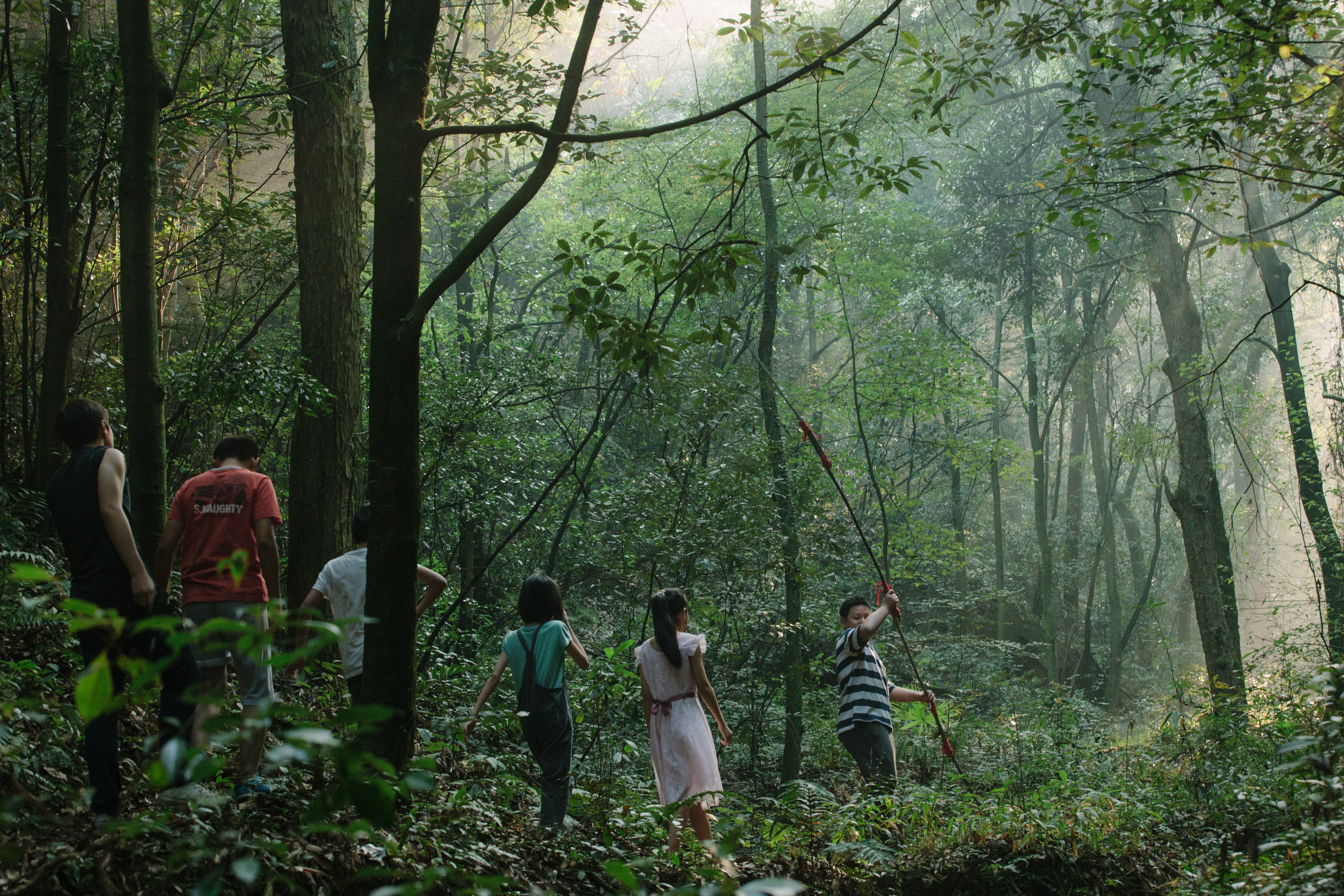 郊区的鸟剧照的剧照