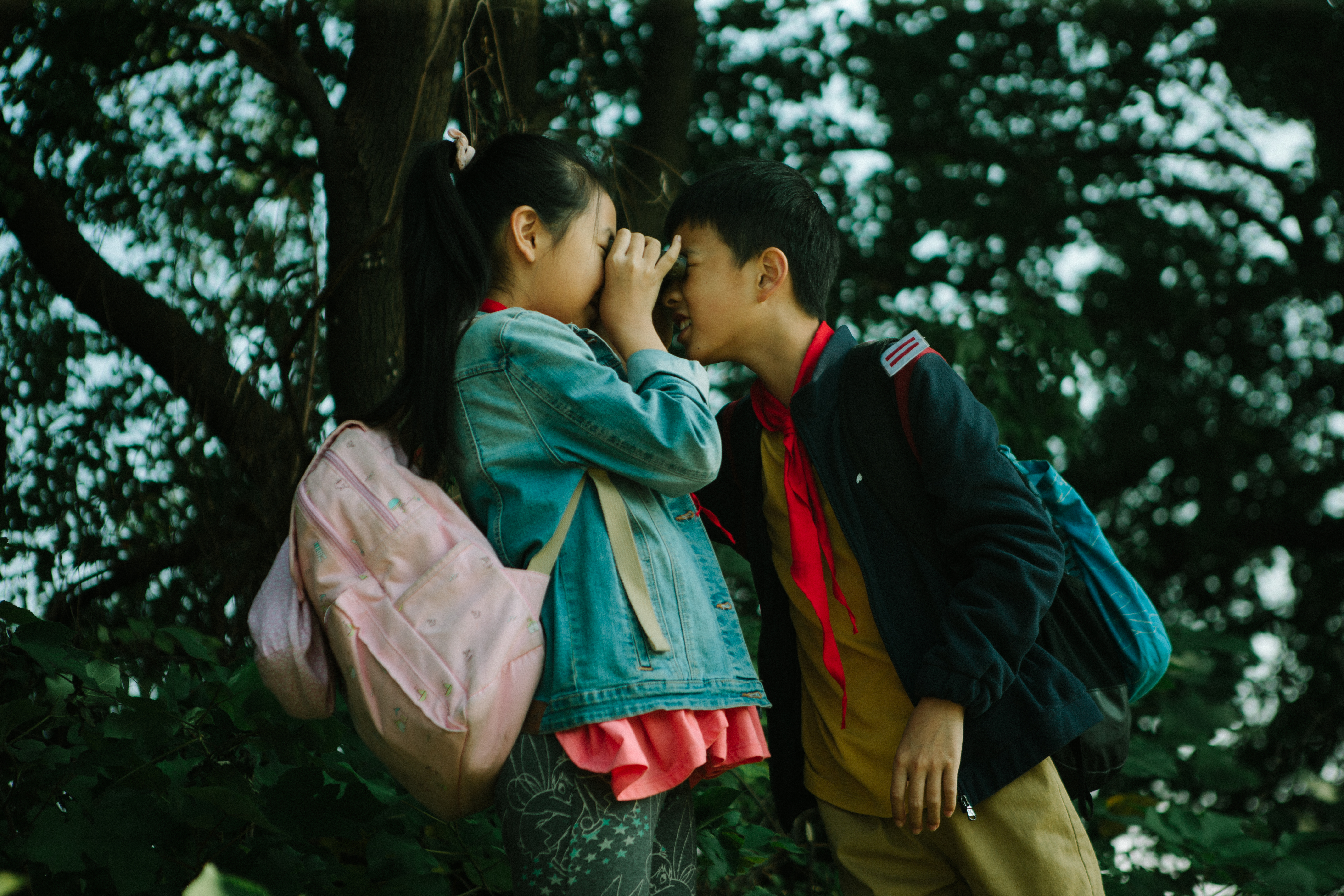 郊区的鸟剧照的剧照