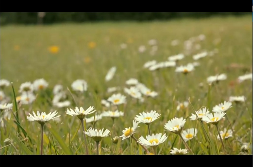绝代艳后剧照的剧照