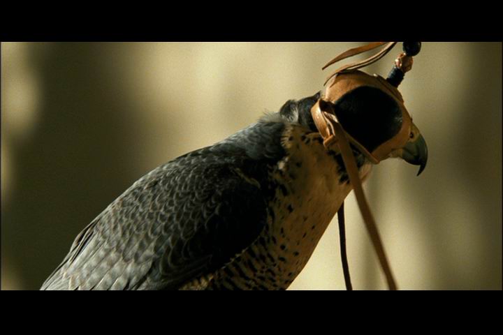 铁血精英剧照的剧照