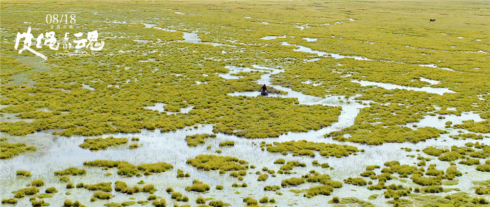 皮绳上的魂剧照的剧照