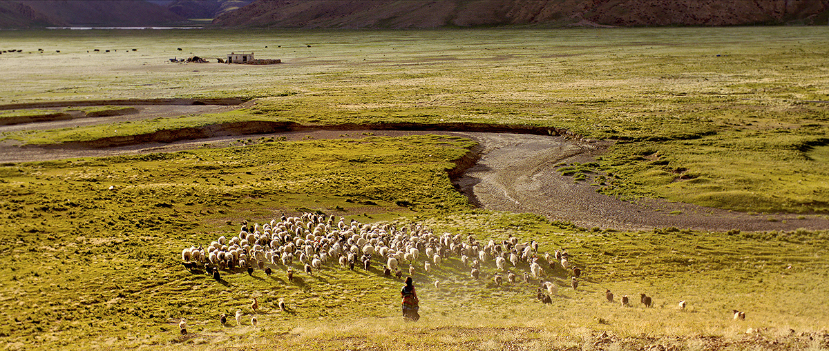 皮绳上的魂剧照的剧照