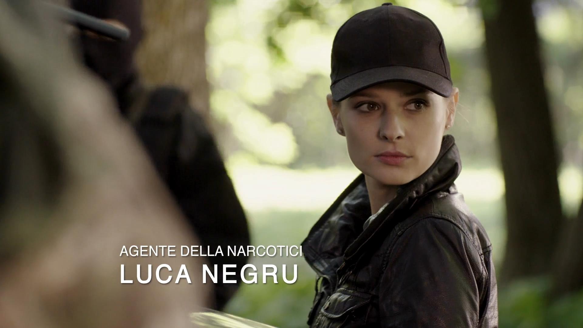 杀死萨拉查剧照的剧照