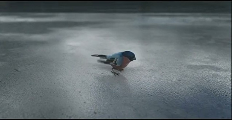 弗利先生剧照的剧照