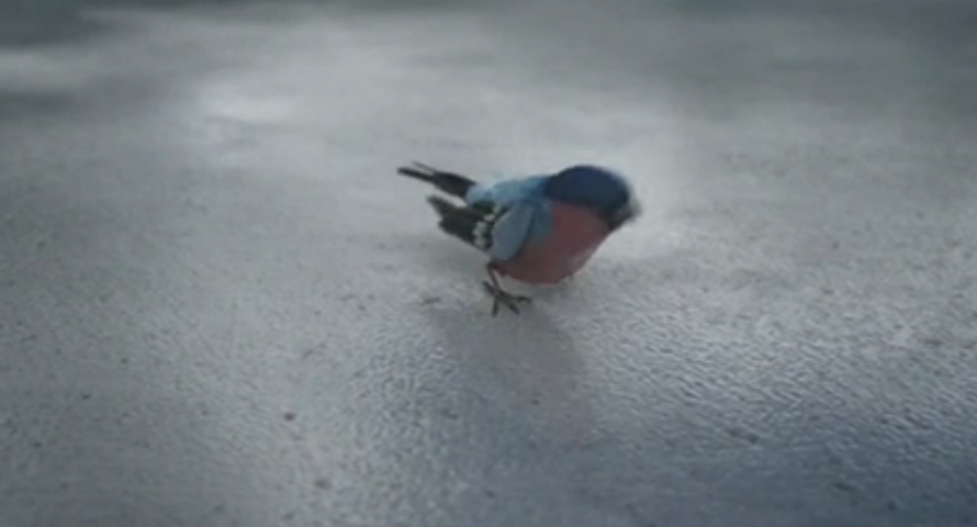 弗利先生剧照的剧照