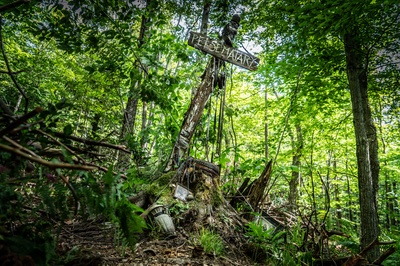 宠物坟场剧照的剧照