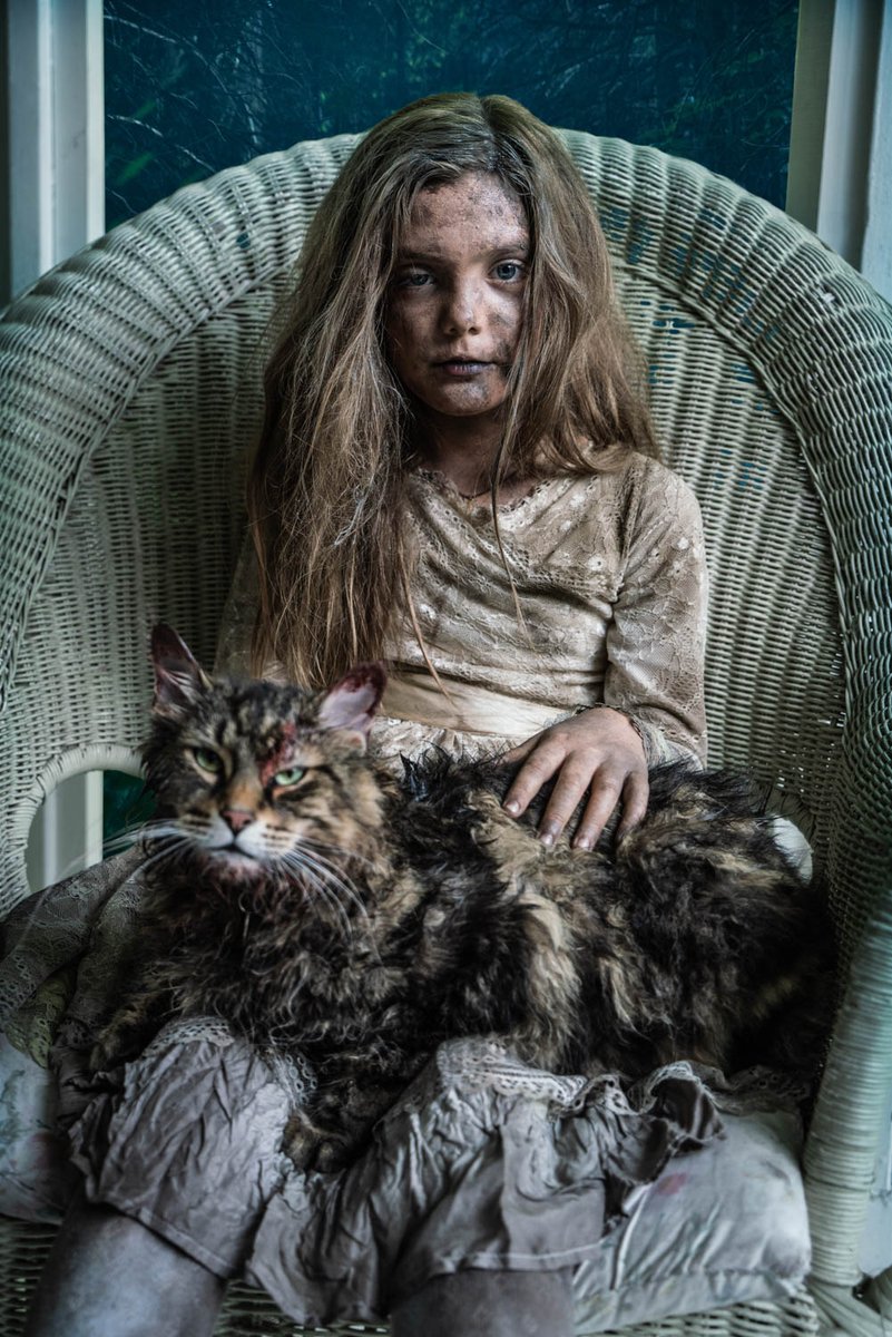 宠物坟场剧照的剧照