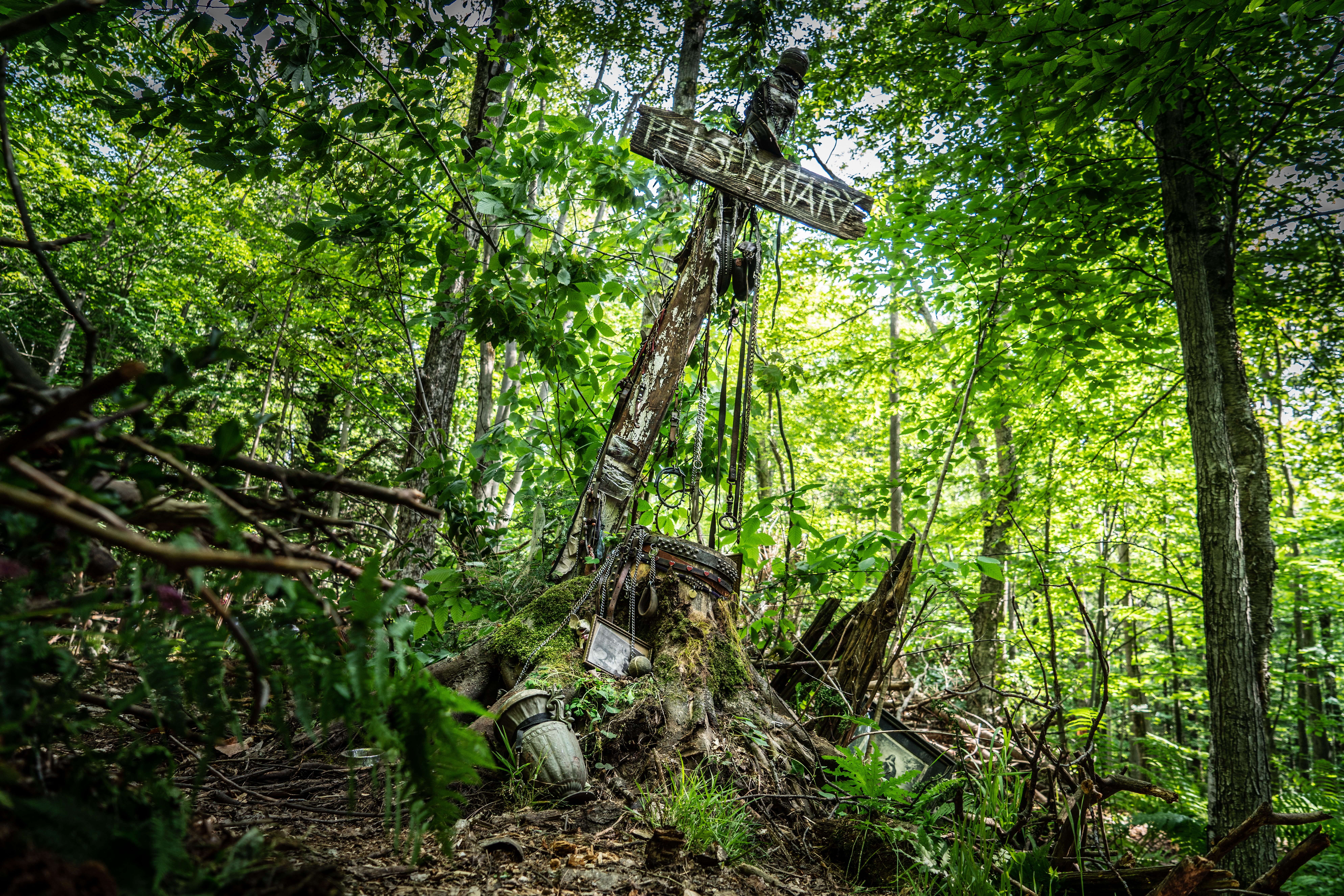 宠物坟场剧照的剧照