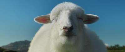 他们剧照的剧照