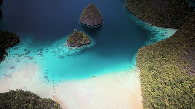 南太平洋之旅剧照的剧照