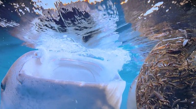 南太平洋之旅剧照的剧照