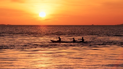 南太平洋之旅剧照的剧照