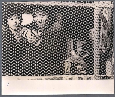 火红的第五乐章剧照的剧照