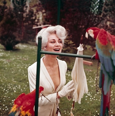 红心国王剧照的剧照